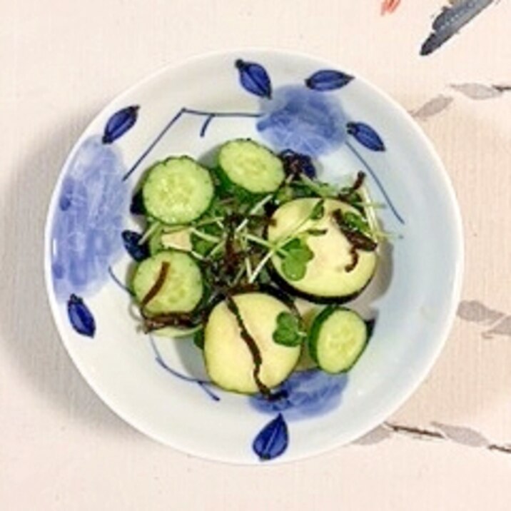 茄子と胡瓜の塩昆布ポン酢和え レシピ 作り方 By 2727椿 楽天レシピ 茄子と胡瓜の塩昆布ポン酢和え レシピ 作り方 By 2727椿 楽天レシピ